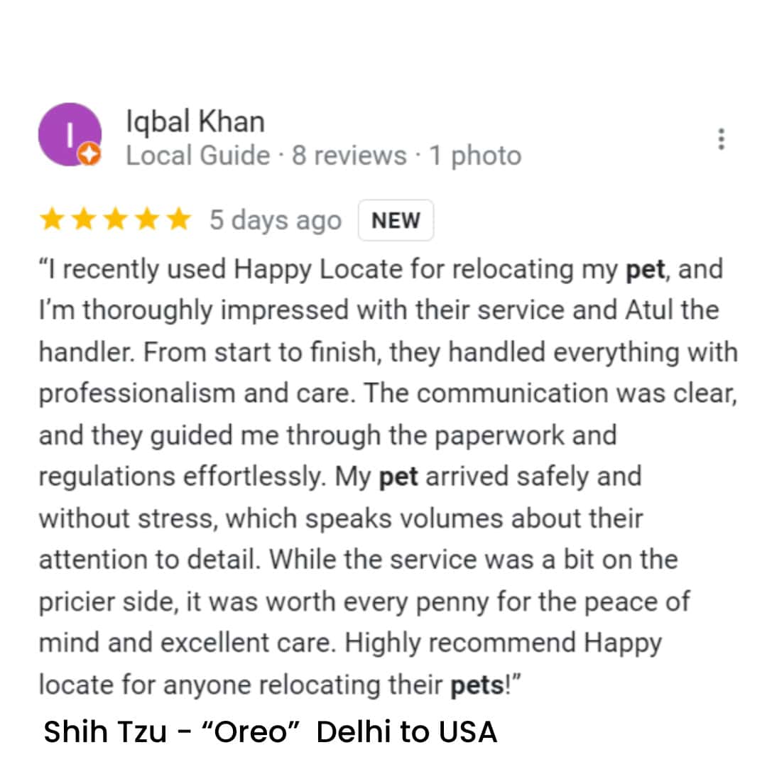 Pet Relocation of Oero ( Shih Tzu) from Delhi to USA